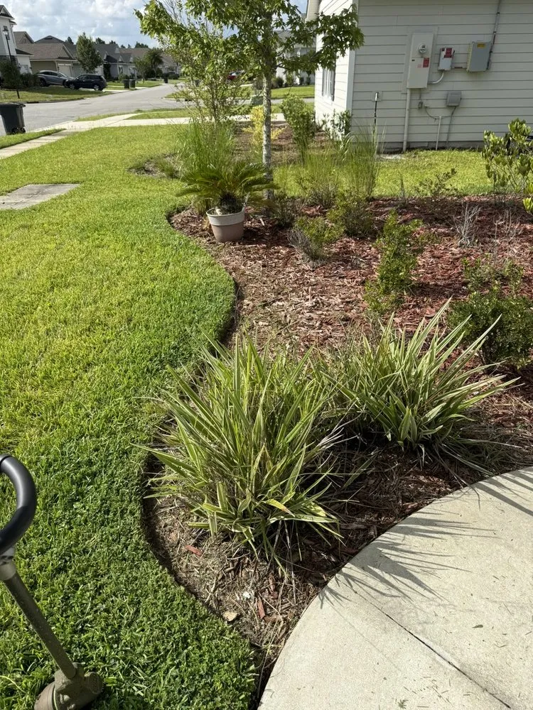 Trusted yard maintenance for homes across St. Augustine, FL - Lowd Landscaping