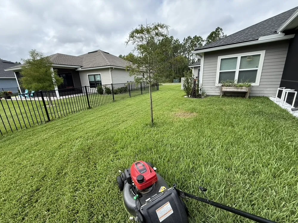 Expert yard cleanup service in St. Augustine, FL - Lowd Landscaping