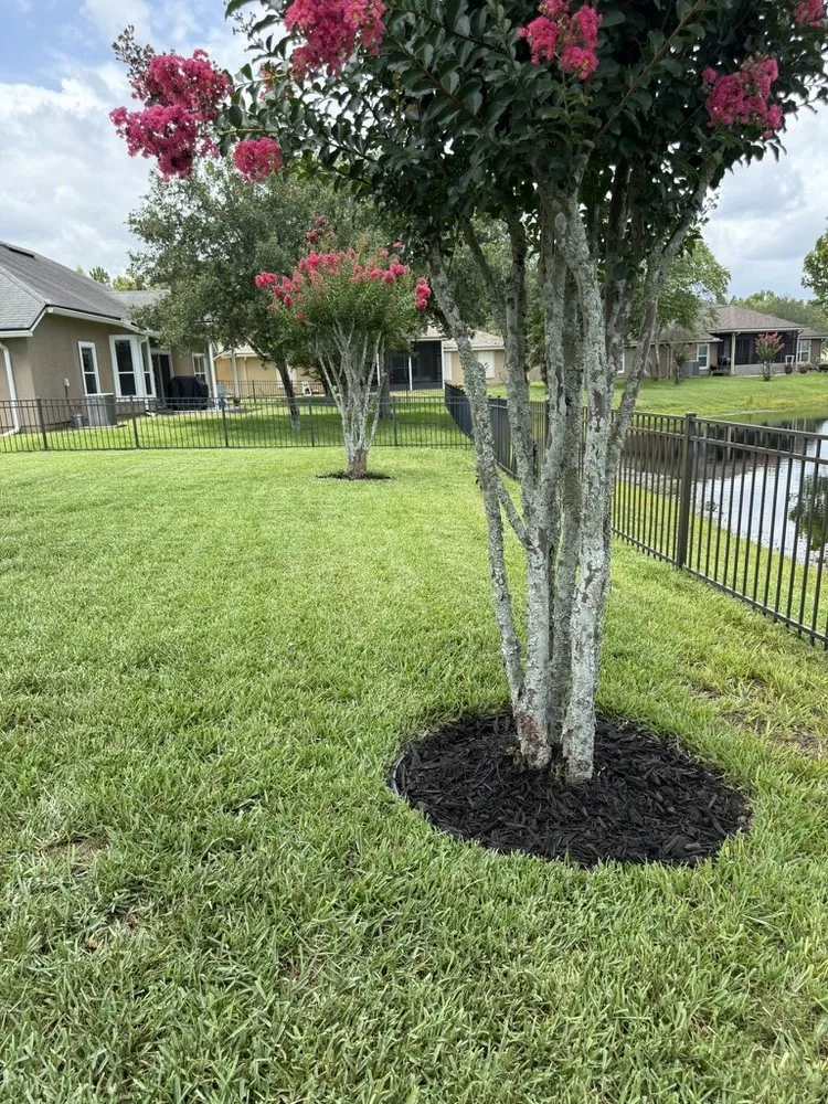 Affordable outdoor landscaping for year-round maintenance in St. Augustine, FL by Lowd Landscaping