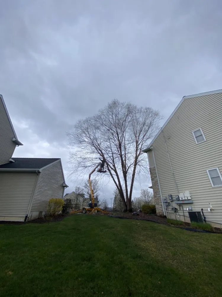 Local lawn mowing service for year-round maintenance in Lansing, MI by Lowe Brothers Outdoor Services