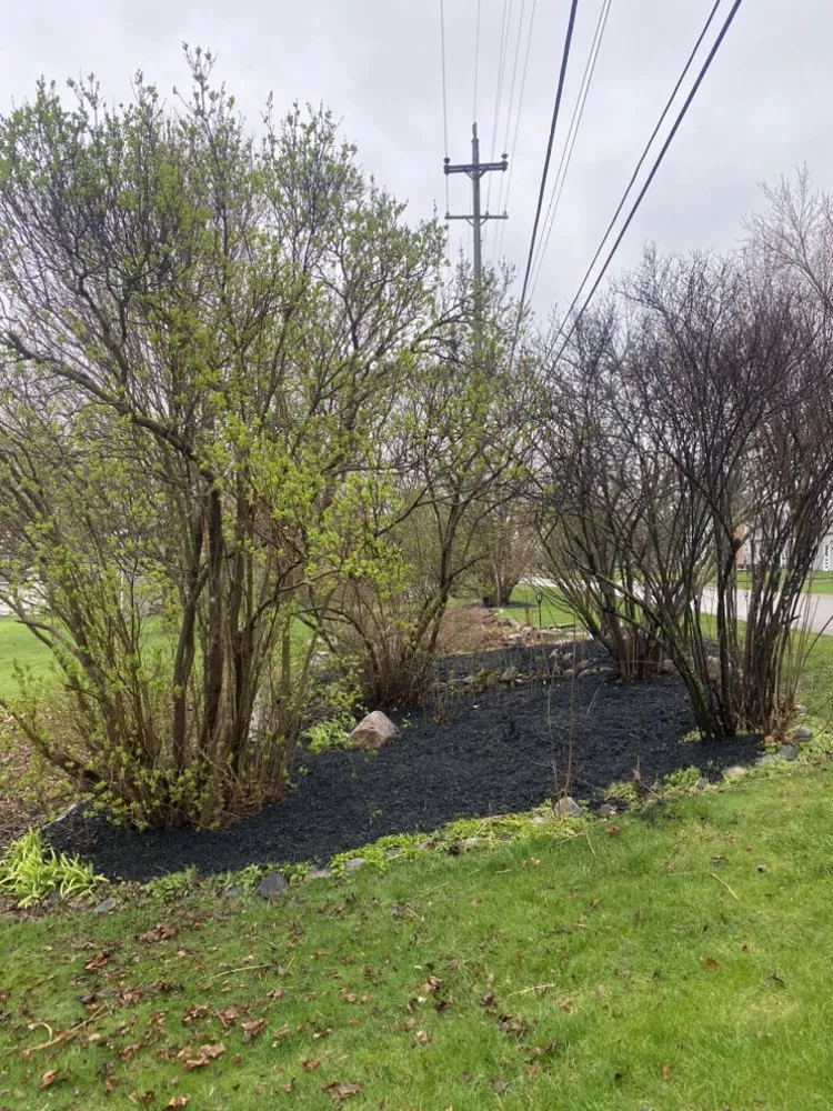 Custom yard maintenance for residential properties across Lansing, MI - Lowe Brothers Outdoor Services