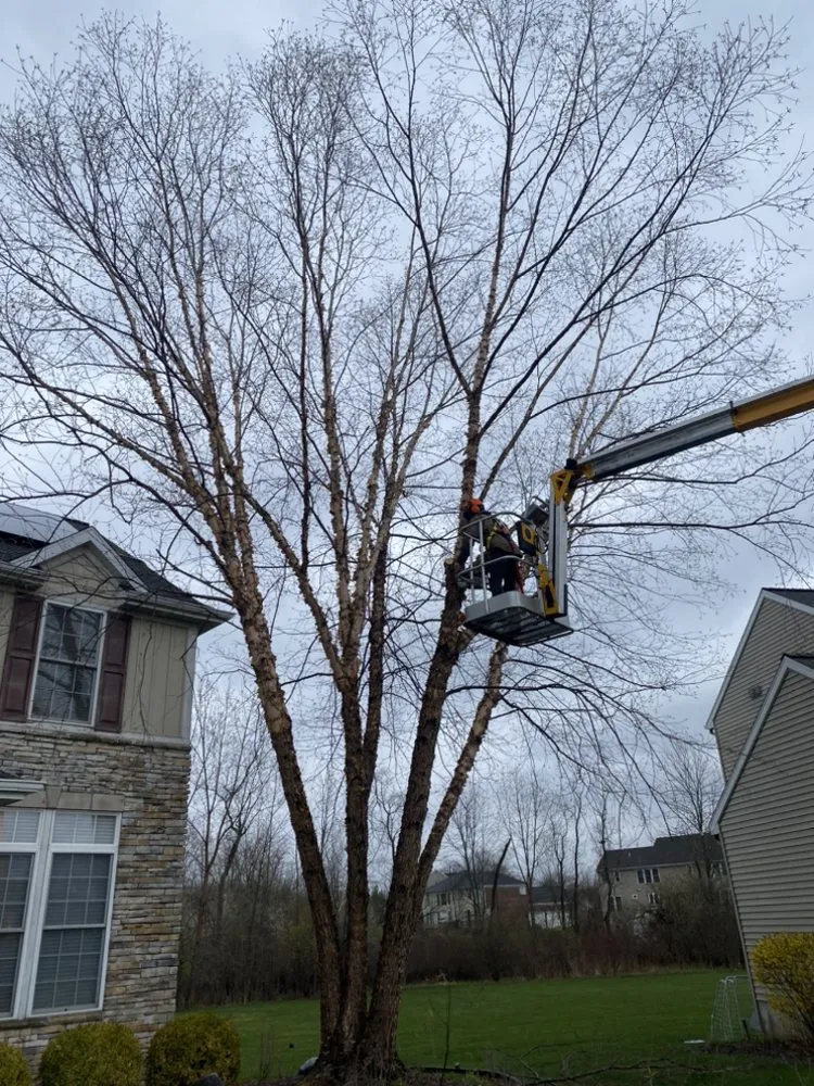 Trusted lawn mowing service in Lansing, MI - Lowe Brothers Outdoor Services