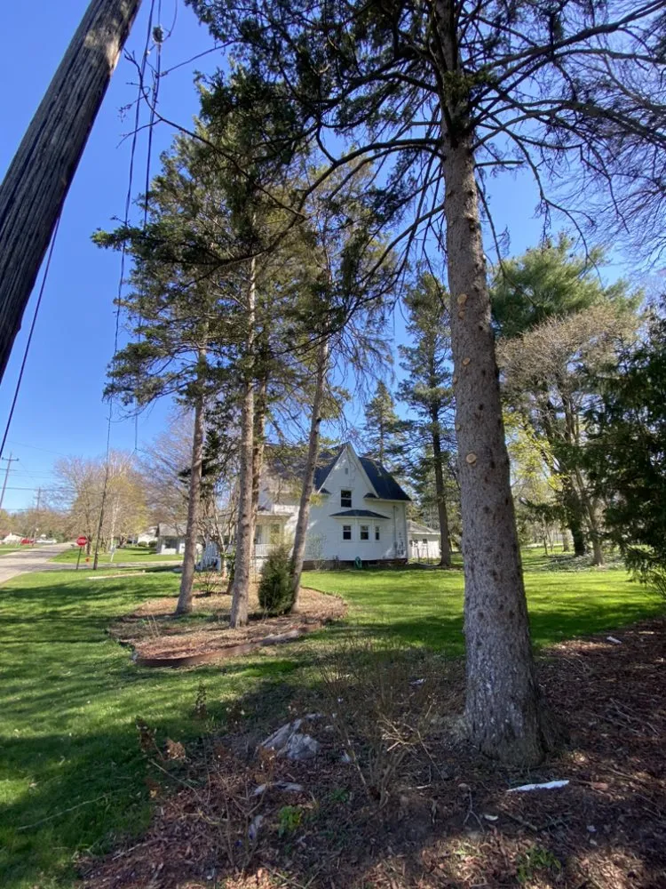 Local outdoor landscaping for year-round maintenance across Lansing, MI - Lowe Brothers Outdoor Services