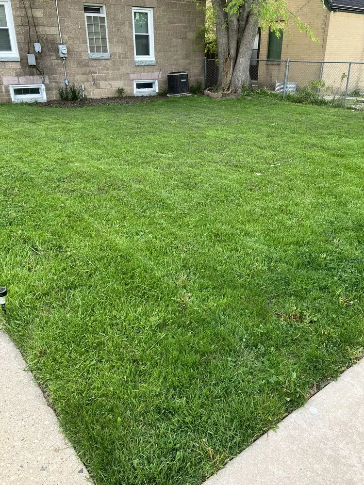Expert lawn care service in Milwaukee, WI - Lowe Cutz Lawn Services