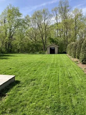 Lowe Cutz Lawn Services Logo