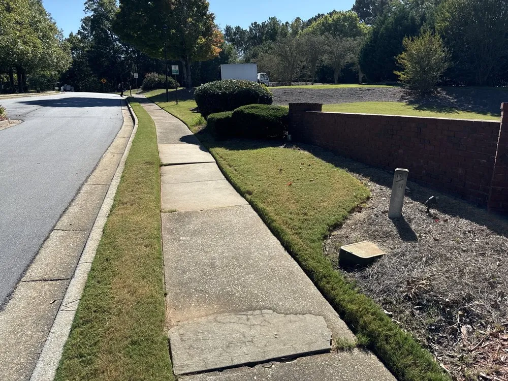 Custom yard cleanup service in Villa Rica, GA - Lowe Scapes