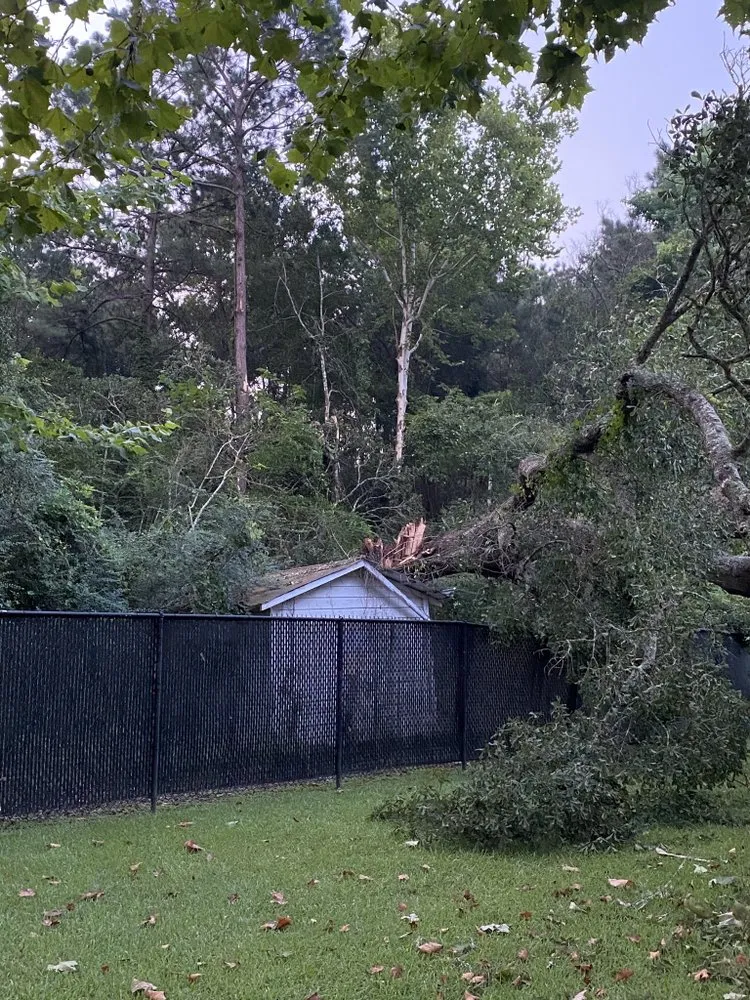 Expert yard maintenance in Goodrich, TX - Loweboy’s Tree Service