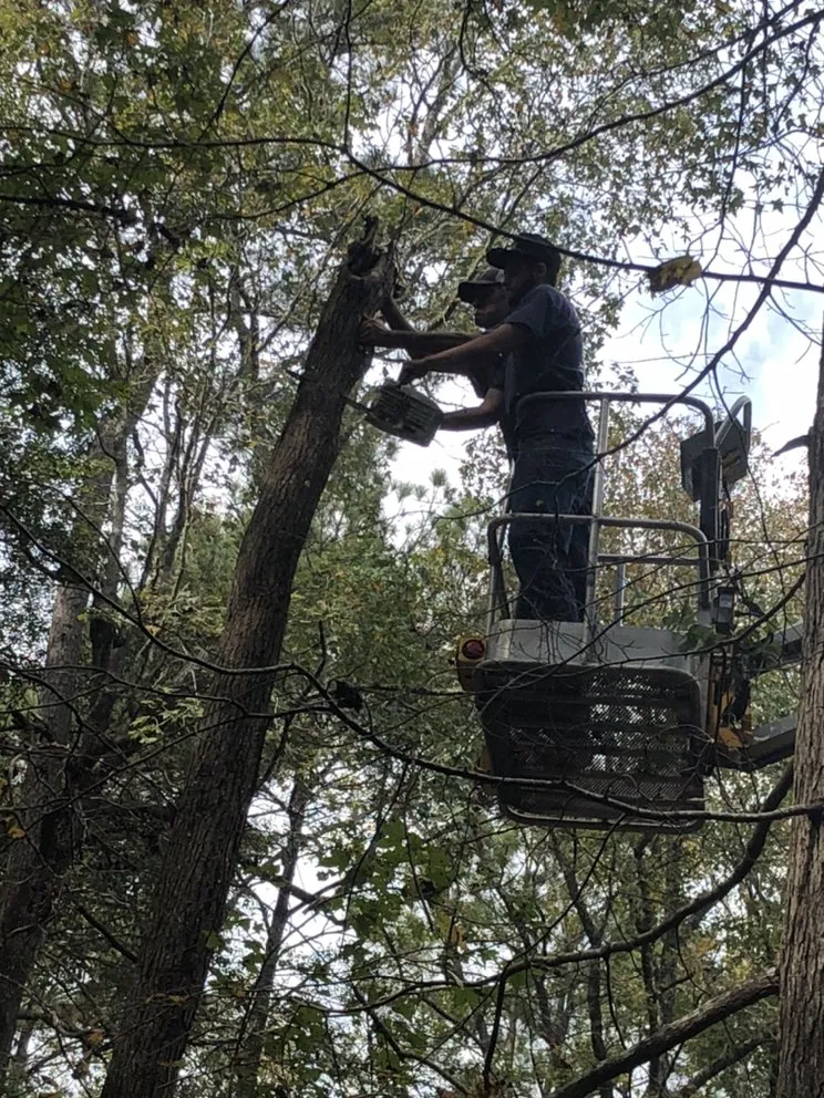 Local outdoor landscaping for homes across Goodrich, TX - Loweboy’s Tree Service
