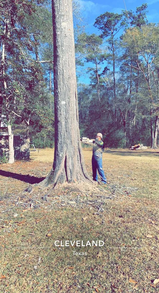 Reliable landscape design for homes in Goodrich, TX by Loweboy’s Tree Service