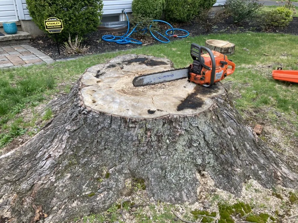 Custom landscape installation for year-round maintenance in Levittown, PA by Lower Bucks Stump Grinding