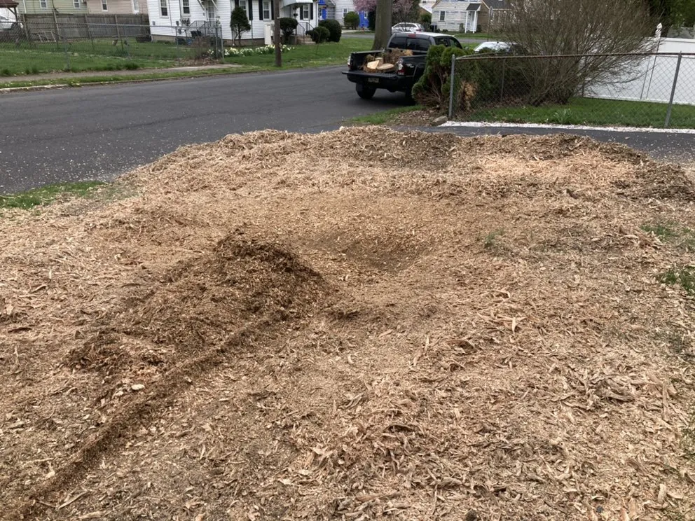 Professional lawn mowing service near you in Levittown, PA by Lower Bucks Stump Grinding