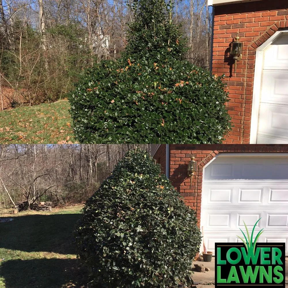 Expert outdoor landscaping for year-round maintenance in Chatsworth, GA by Lower Lawns