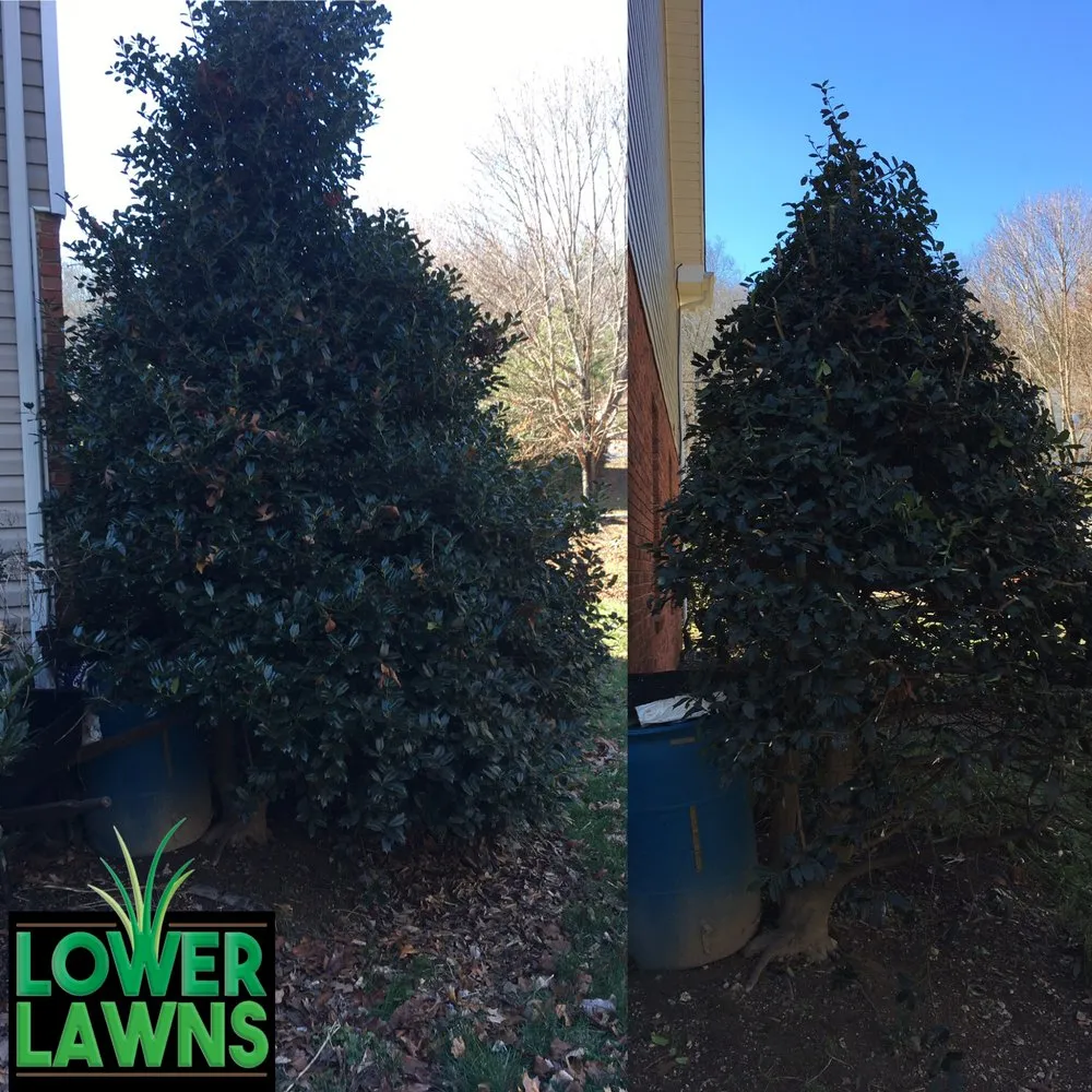 Expert landscape installation experts serving Chatsworth, GA - Lower Lawns