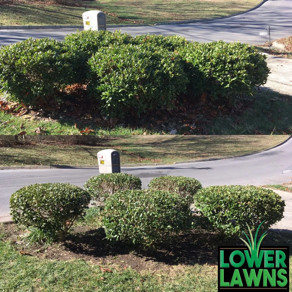 Custom landscape installation with custom design in Chatsworth, GA by Lower Lawns