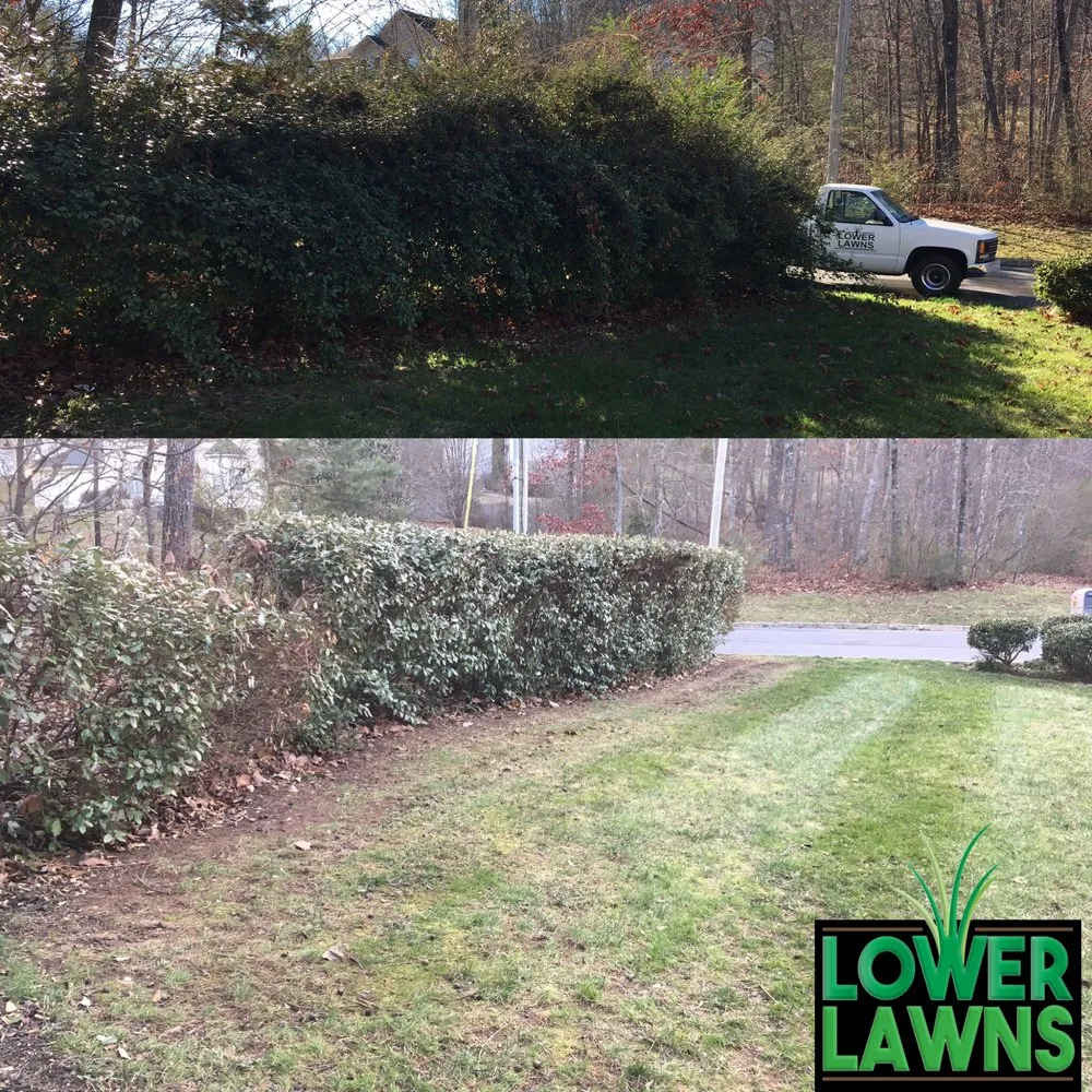 Local residential landscaping with custom design across Chatsworth, GA - Lower Lawns