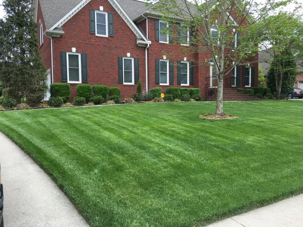 Custom yard maintenance for residential properties in Owens Cross Roads, AL by Lowery Family Lawn Care