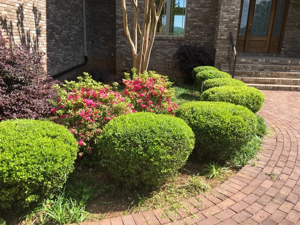 Professional lawn mowing service for outdoor upgrades across Owens Cross Roads, AL - Lowery Family Lawn Care