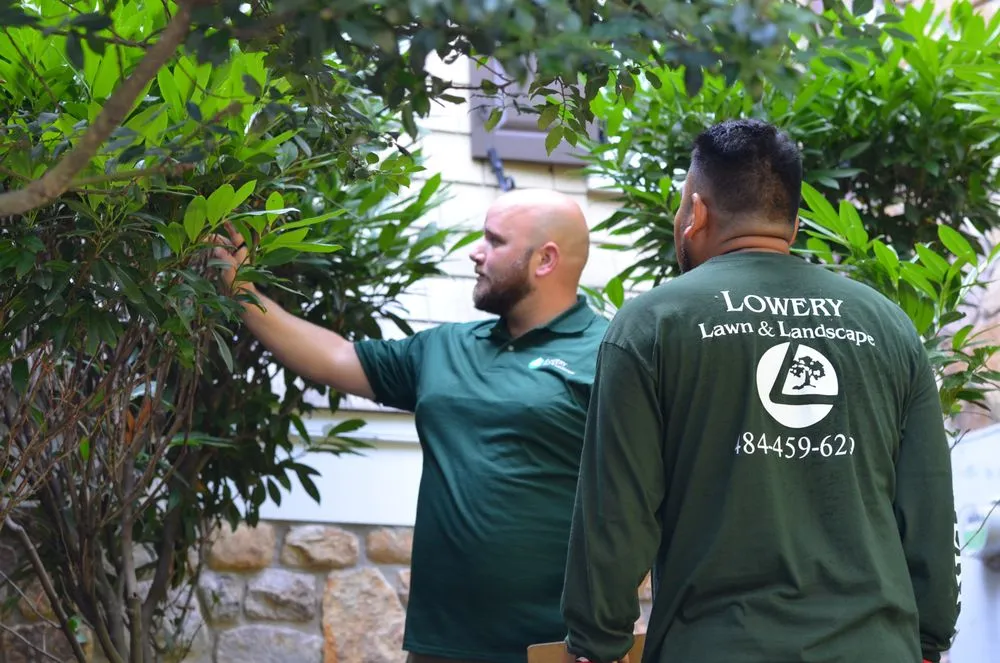 Professional landscaping services in West Chester, PA - Lowery Lawn and Landscape