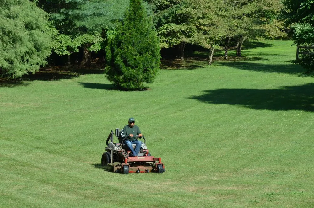 Expert landscape design in West Chester, PA - Lowery Lawn and Landscape