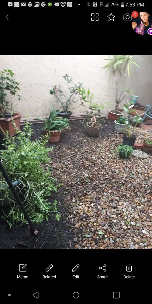 Expert yard cleanup service with custom design in North Lauderdale, FL by Lowe's Landscaping and Gardener