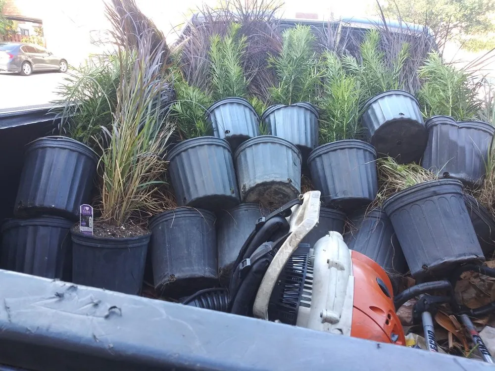 Top-rated yard cleanup service for outdoor upgrades in North Lauderdale, FL by Lowe's Landscaping and Gardener