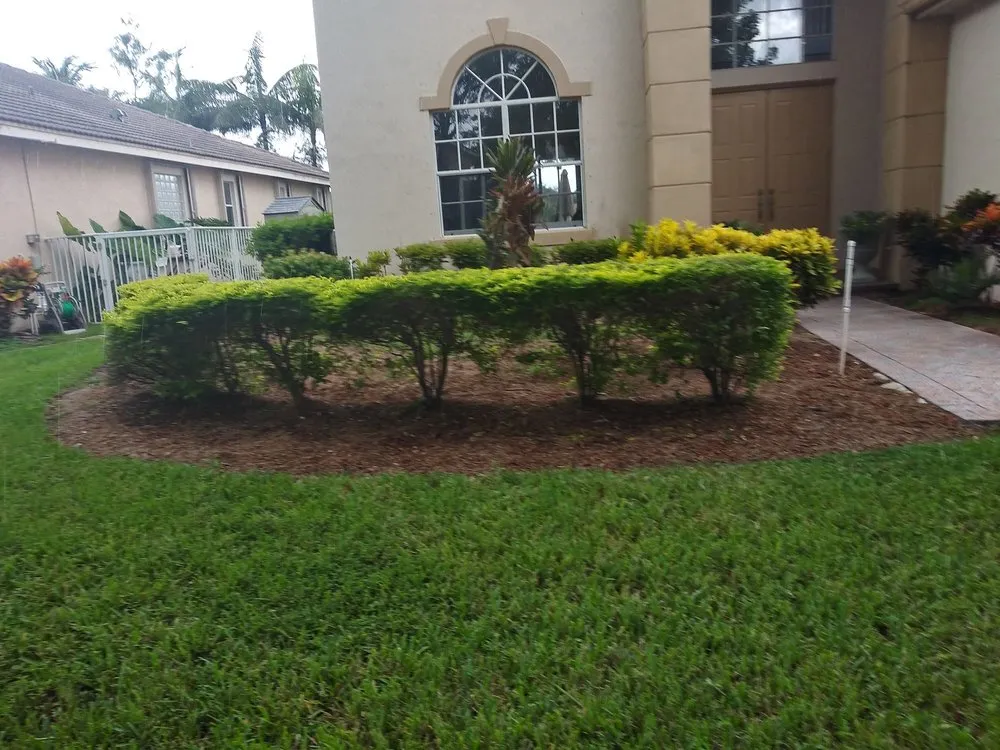 Professional lawn care service for residential properties in North Lauderdale, FL by Lowe's Landscaping and Gardener