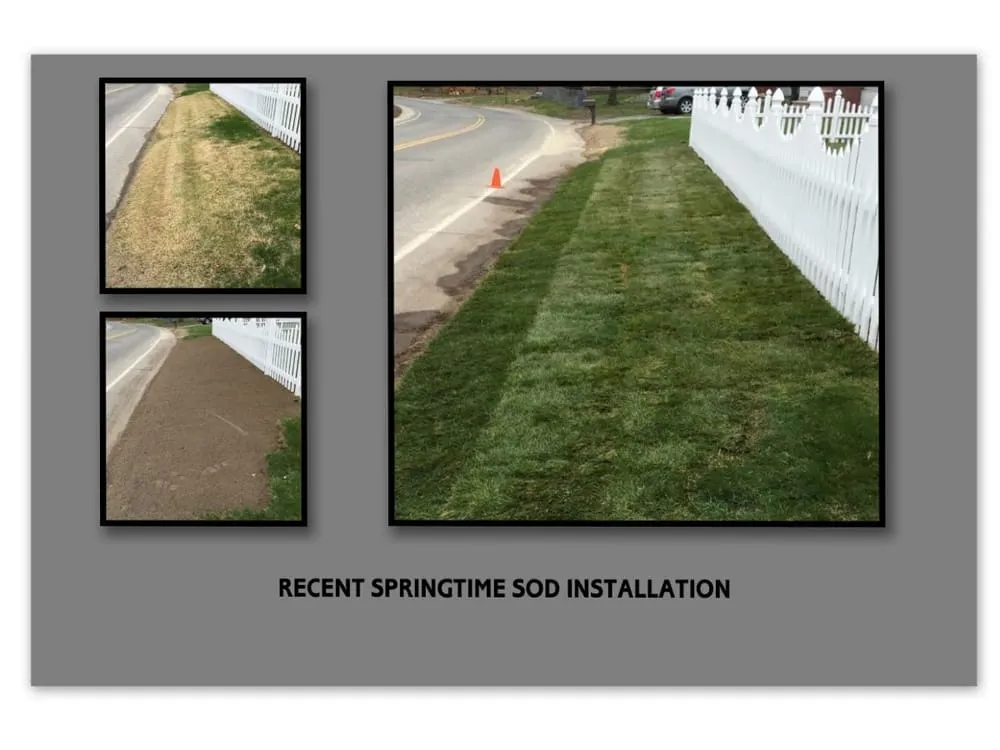 Top-rated lawn care service in Dracut, MA - Lowe's Landscaping Services