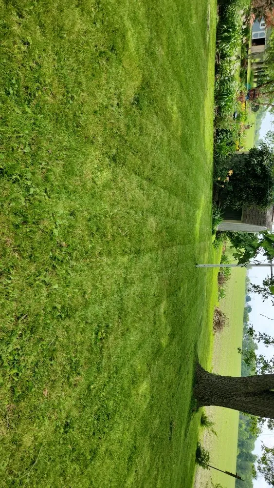 Custom landscape design experts serving Findlay, OH - Lowe's Lawncare