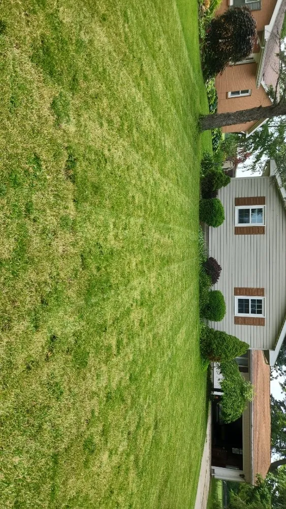 Expert garden landscaping for outdoor upgrades across Findlay, OH - Lowe's Lawncare