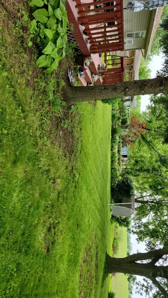 Reliable lawn mowing service in Findlay, OH - Lowe's Lawncare