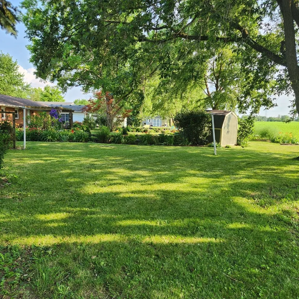 Affordable yard cleanup service in Findlay, OH - Lowe's Lawncare