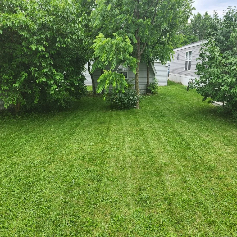 Professional lawn mowing service experts serving Findlay, OH - Lowe's Lawncare