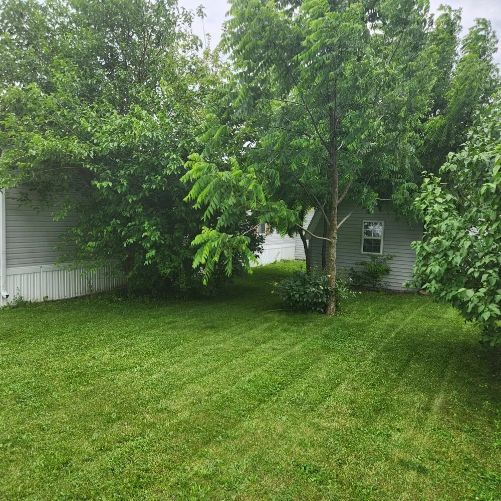 Trusted landscape installation for beautiful yards in Findlay, OH by Lowe's Lawncare