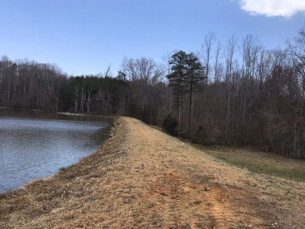 Affordable landscape installation in Mount Airy, NC by Lowe's Long Arm Bush Hogging