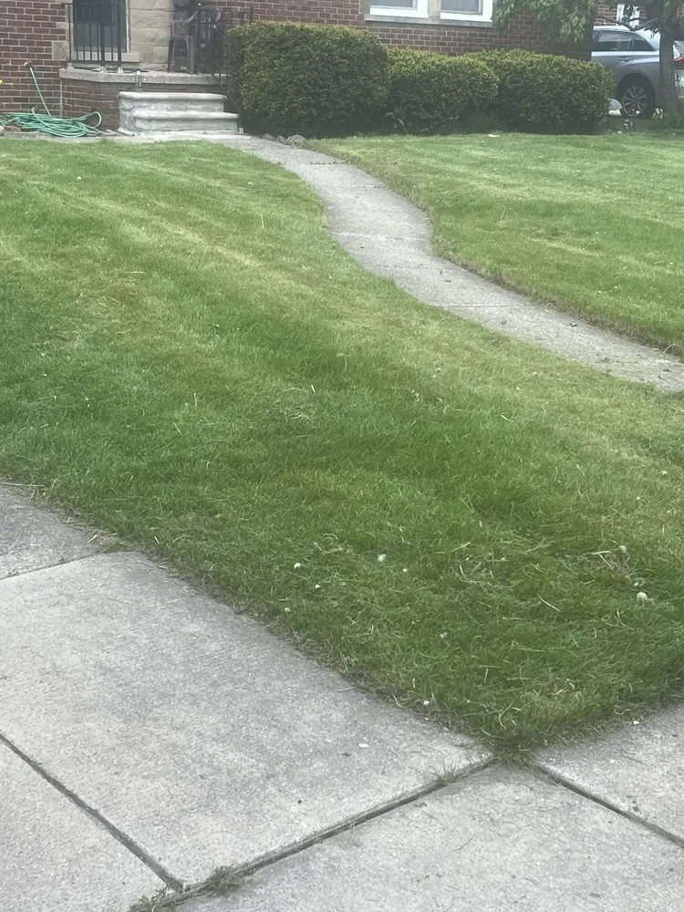 Top-rated outdoor landscaping for homes across Macomb, MI - Lowest Price Landscaping