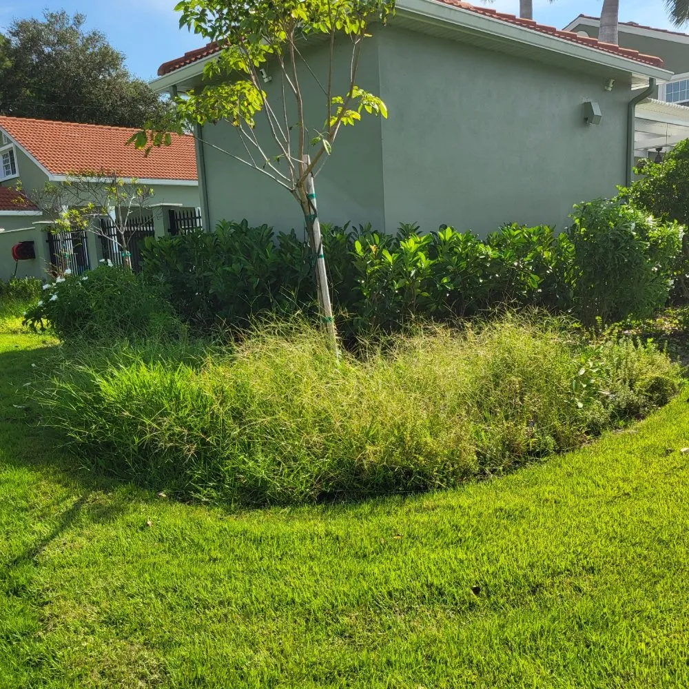 Local landscape installation in Sarasota, FL by Lowkey Lawn and Landscapes