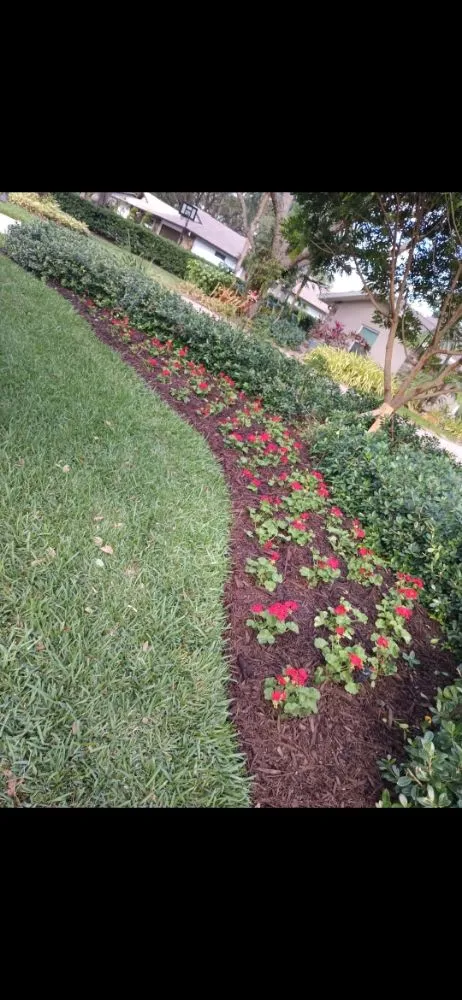 Professional outdoor landscaping experts serving Sarasota, FL - Lowkey Lawn and Landscapes