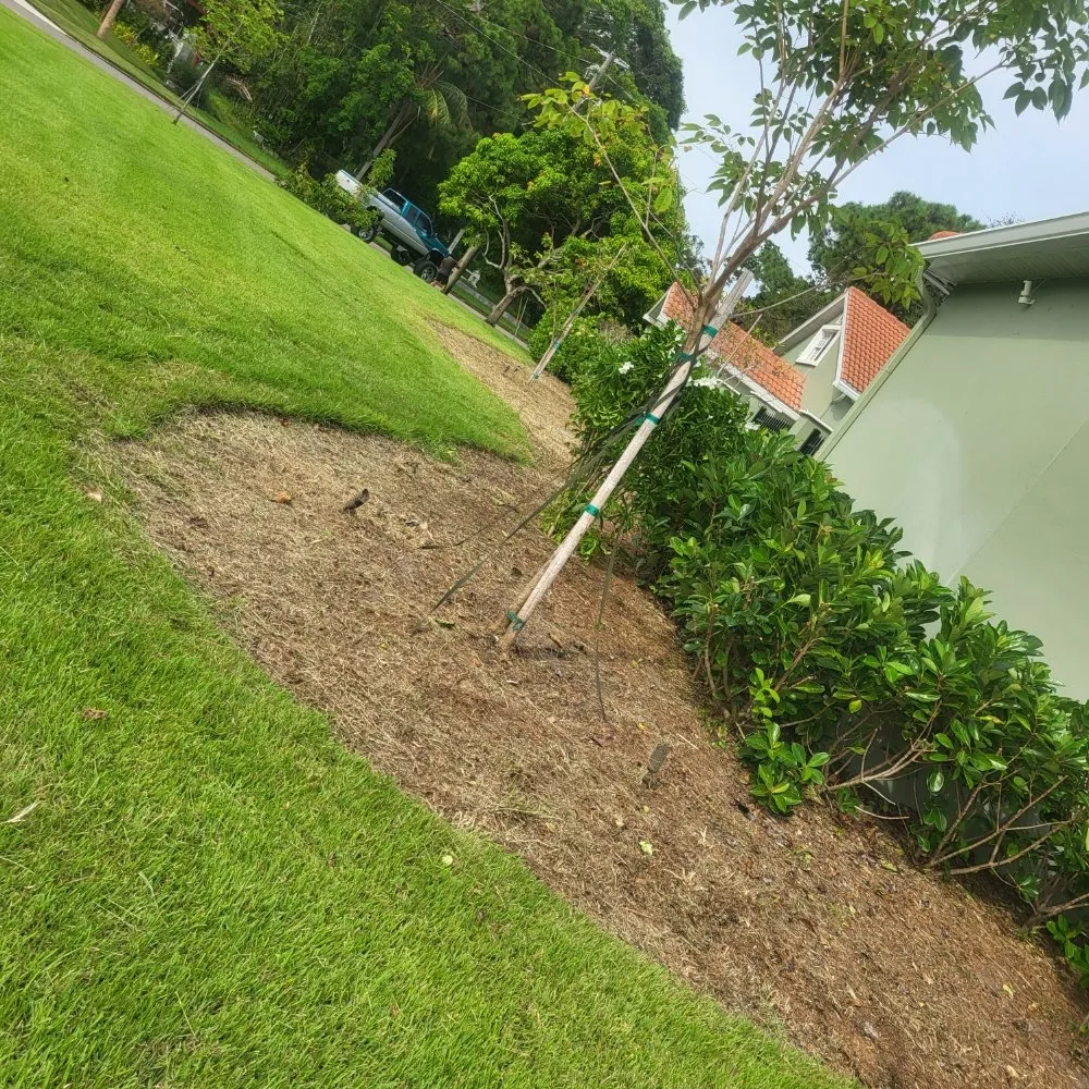 Trusted landscape design in Sarasota, FL by Lowkey Lawn and Landscapes