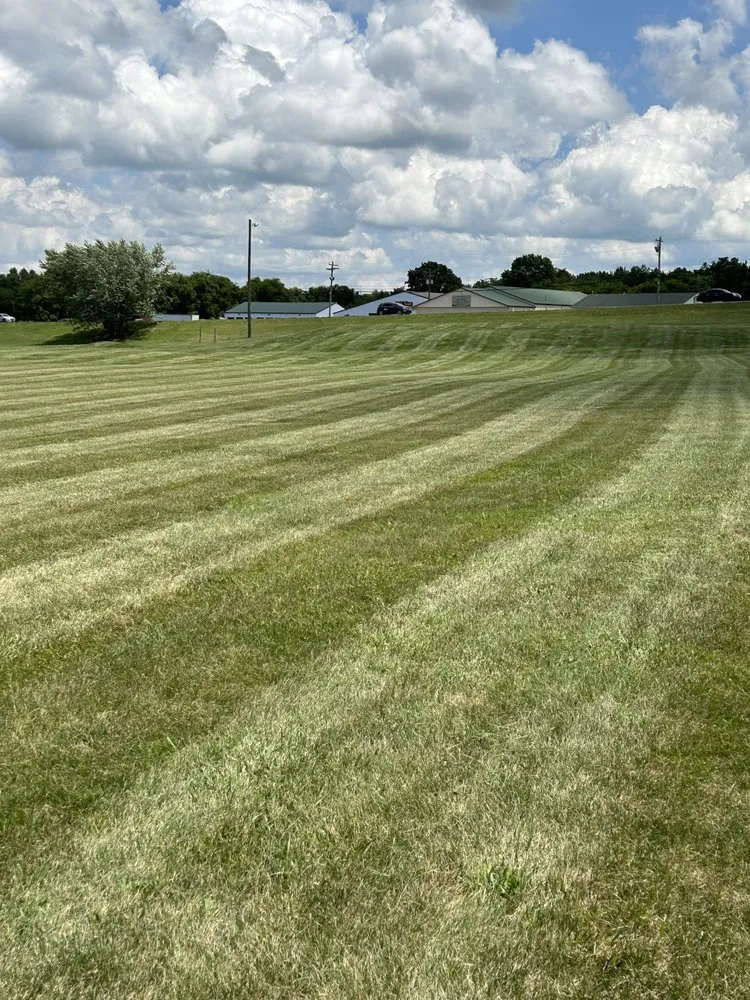 Top-rated yard cleanup service in Morristown, TN - Lowland property services