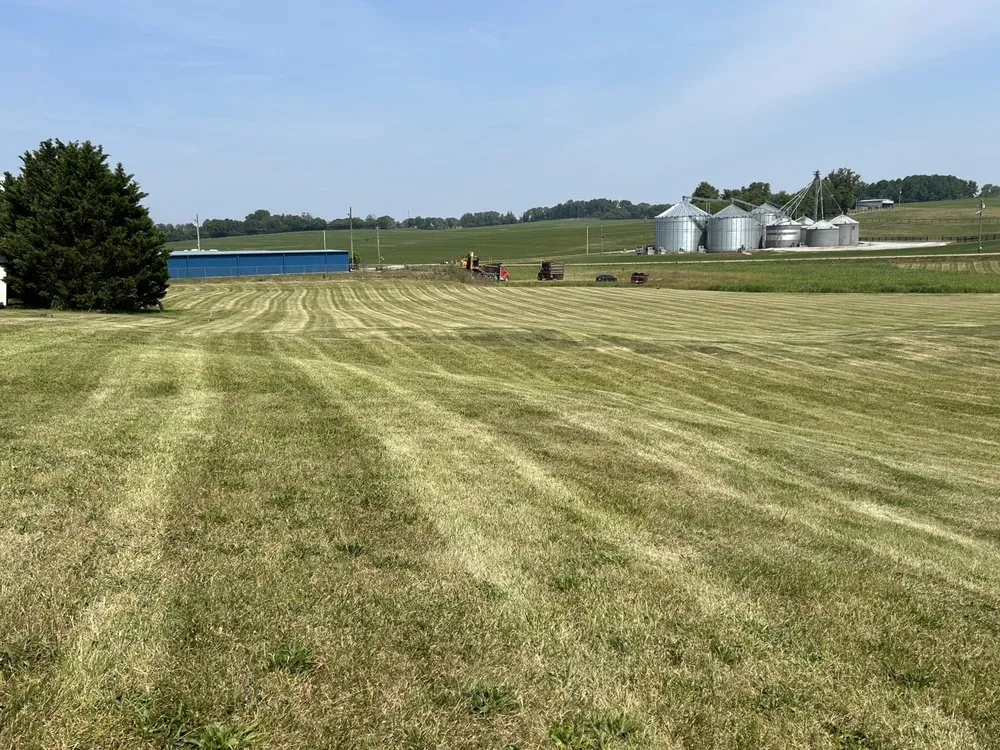 Professional yard maintenance experts serving Morristown, TN - Lowland property services