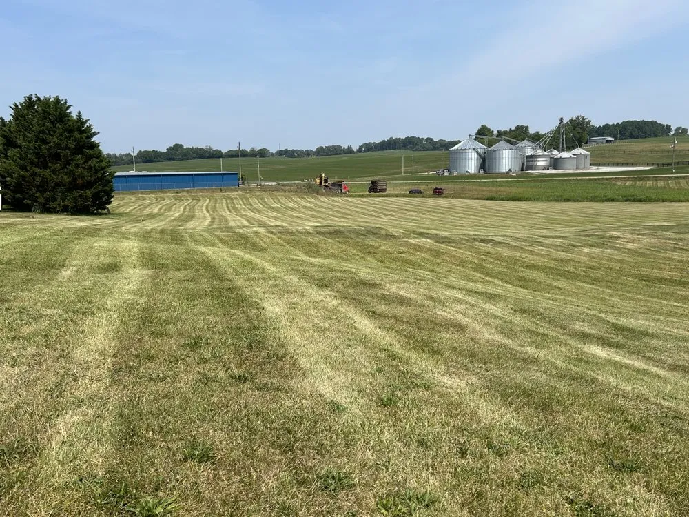 Expert outdoor landscaping for beautiful yards across Morristown, TN - Lowland property services