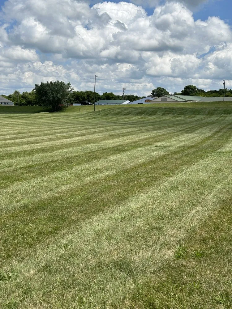 Expert yard cleanup service experts serving Morristown, TN - Lowland property services