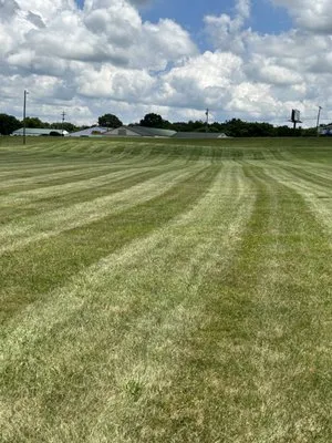 Lowland property services Logo