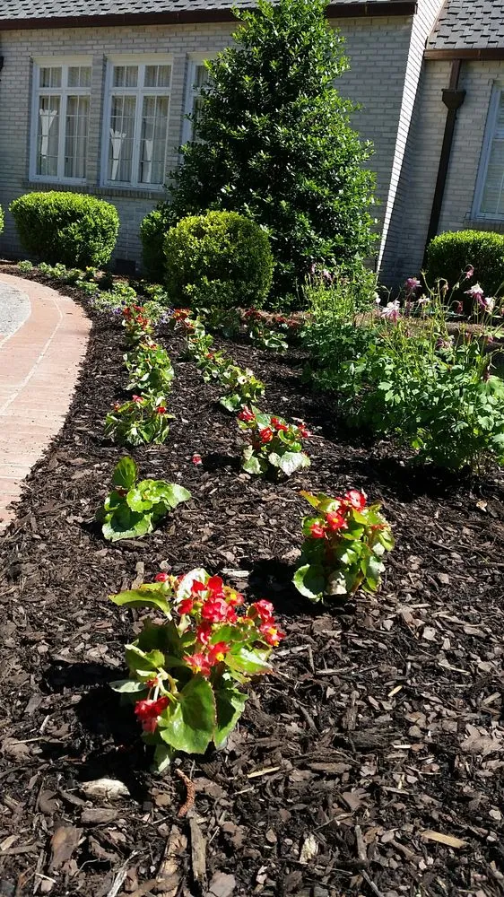 Trusted yard maintenance in Valdosta, GA - Lowndes Landscape Managment