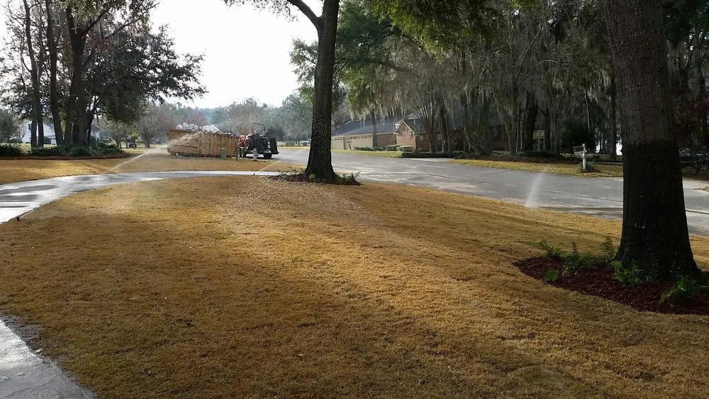 Expert residential landscaping for homes across Valdosta, GA - Lowndes Landscape Managment