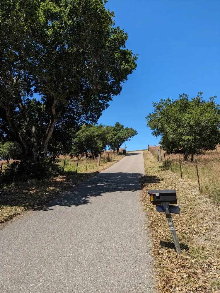 Expert landscaping services for residential properties across Santa Margarita, CA - Lowney
