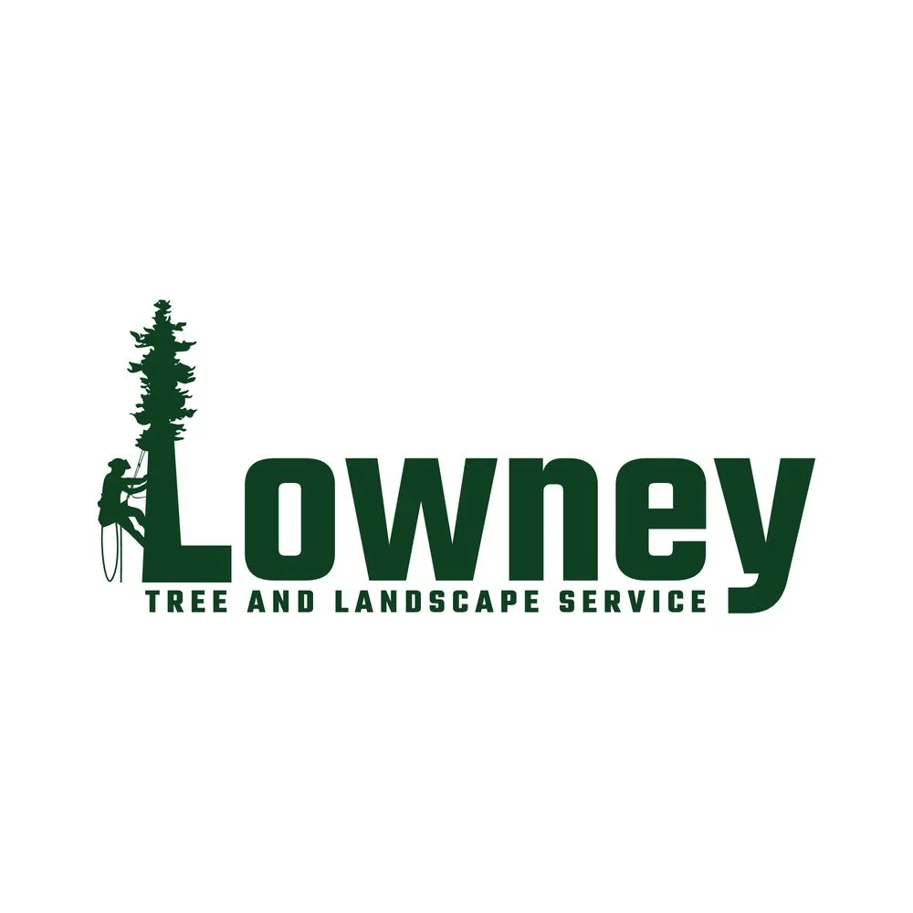 Affordable landscape installation in Santa Margarita, CA by Lowney