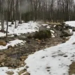 Reliable landscape design near you in Sturgeon Bay, WI by Lowney's Lakeshores Landscape & Design