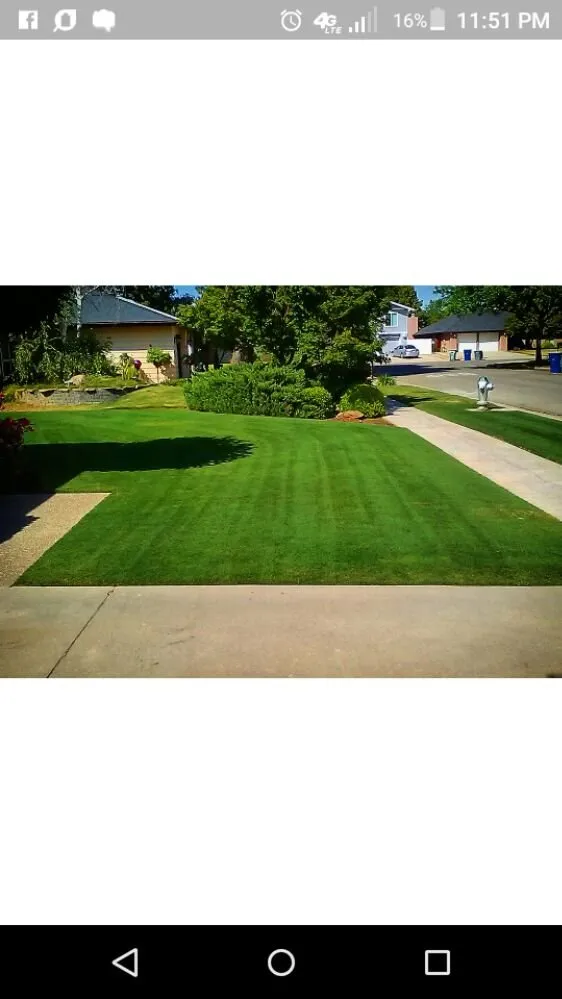 Local landscaping services in Fresno, CA by Lowrider Landscape & Maintanance