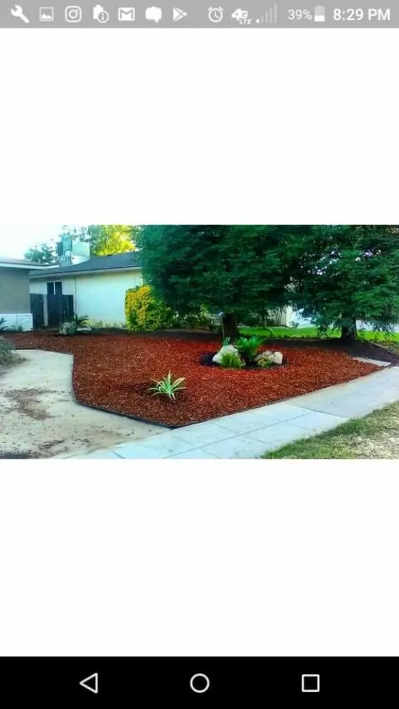 Expert lawn care service for residential properties across Fresno, CA - Lowrider Landscape & Maintanance